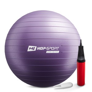 Gymnastický míč fitness 65cm s pumpou - fialový	